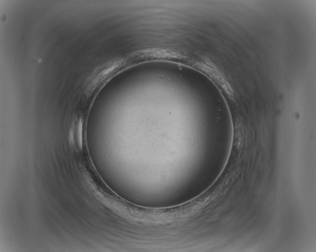X0000085230014200703091203