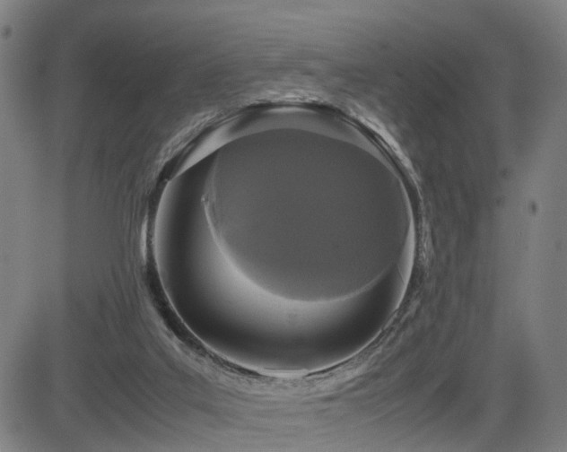X0000085230019200703091203