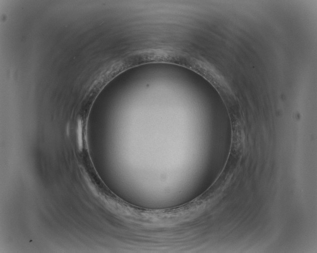 X0000085230022200703091203