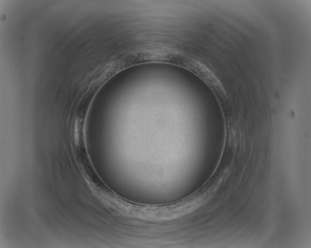 X0000085230026200703091203
