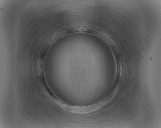 X0000085230030200703091203