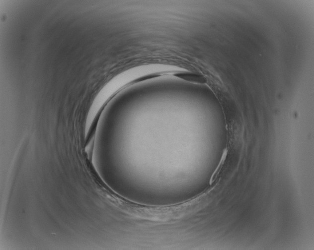 X0000085230033200703091203