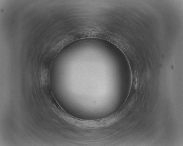 X0000085230034200703091202