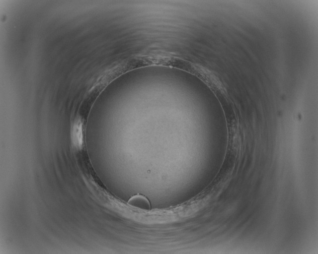 X0000085230042200703091202