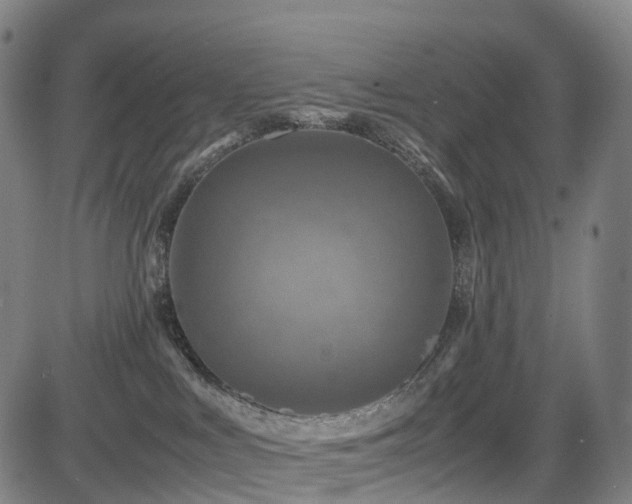 X0000085230043200703091202