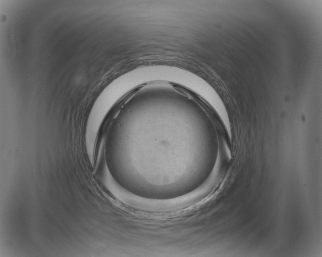 X0000085230045200703091202