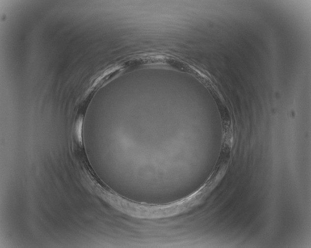 X0000085230047200703091202