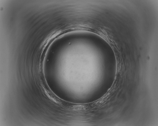 X0000085230050200703091201