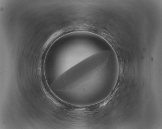 X0000085230054200703091202