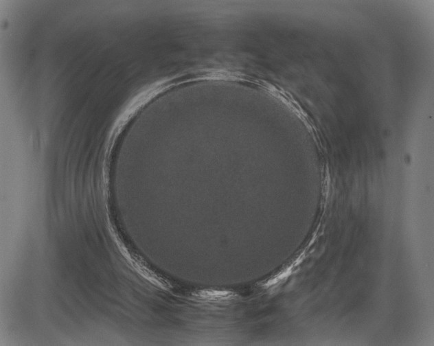 X0000085230055200703091202