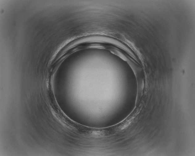X0000085230060200703091202