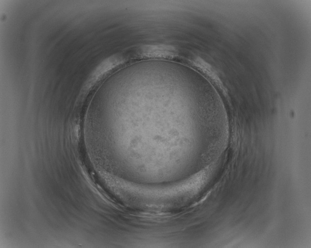 X0000085230063200703091202