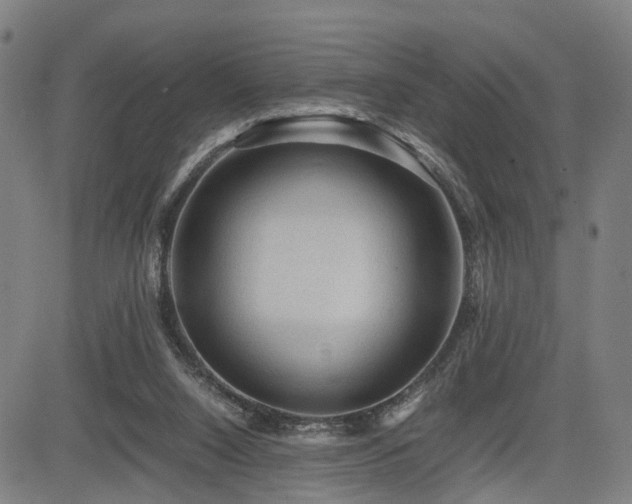 X0000085230064200703091202