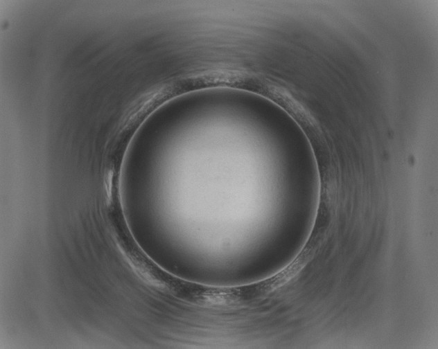 X0000085230070200703091202