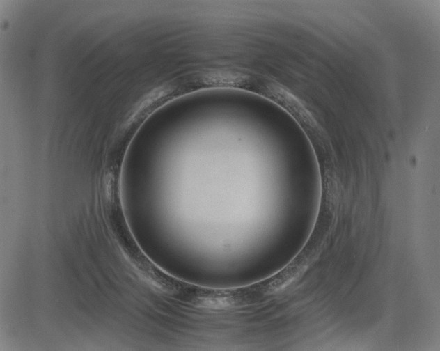 X0000085230071200703091202