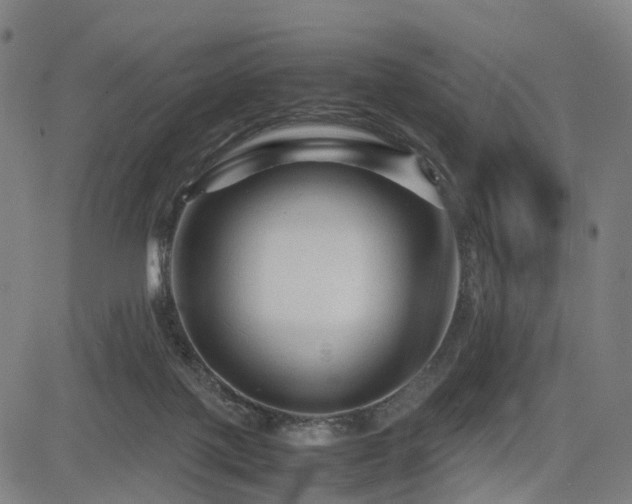 X0000085230075200703091202