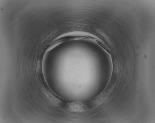X0000085230077200703091202