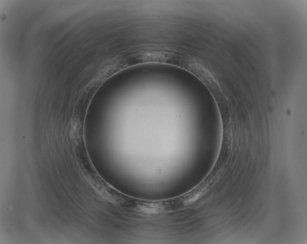X0000085230079200703091202