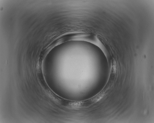 X0000085230084200703091202