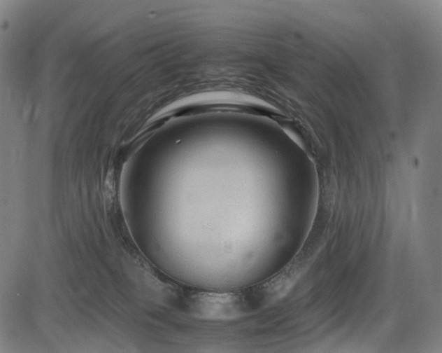 X0000085230085200703091202