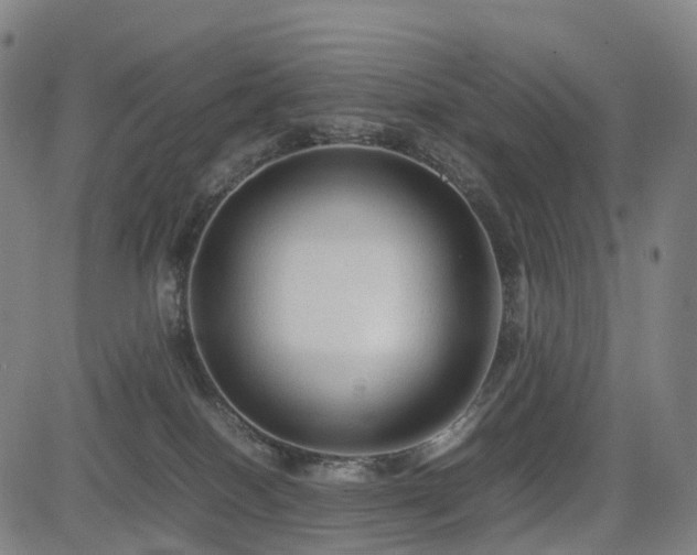 X0000085230086200703091202