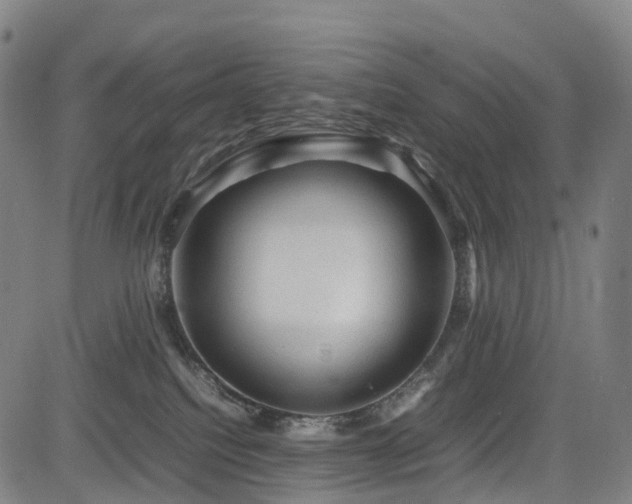 X0000085230088200703091202