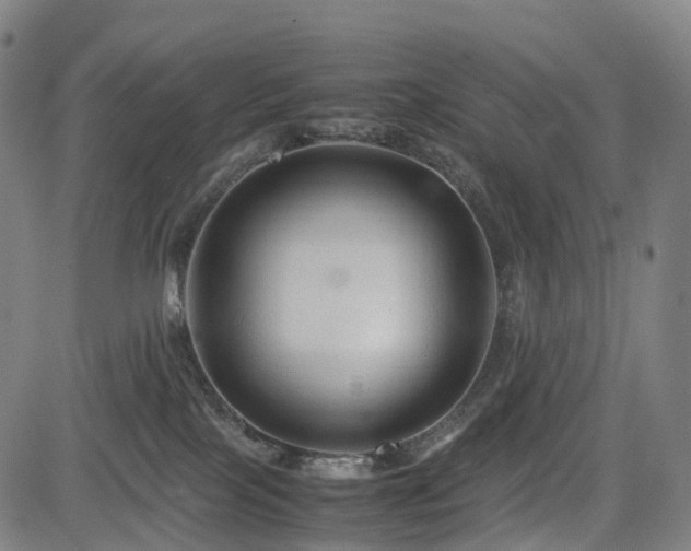 X0000085230089200703091202