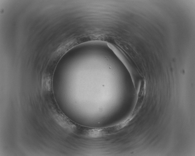 X0000085230090200703091202