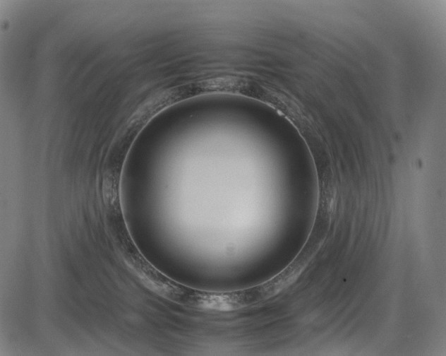 X0000085230091200703091202