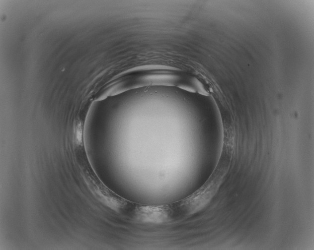 X0000085230095200703091202