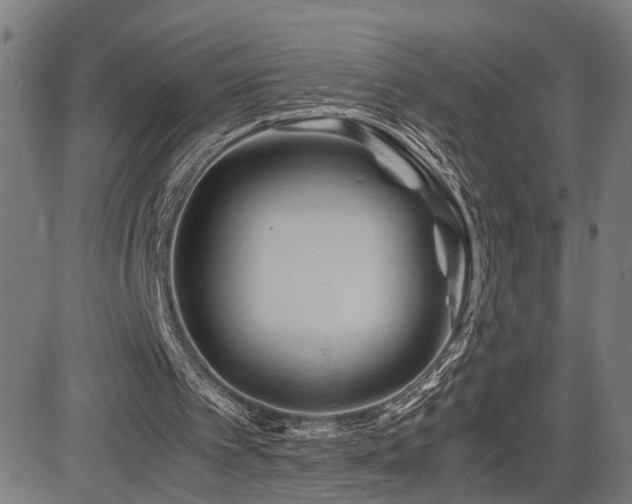X0000085230097200703091201