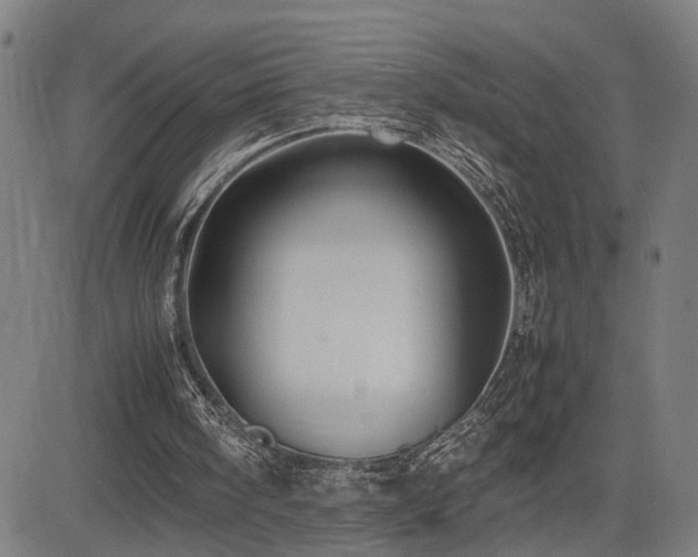 X0000085230098200703091201