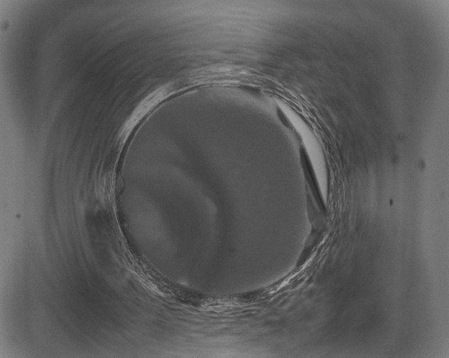 X0000085230099200703091201