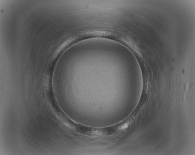 X0000085230111200703091201