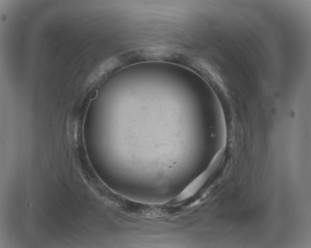 X0000085230115200703091201