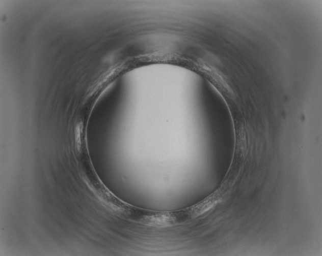 X0000085230118200703091201