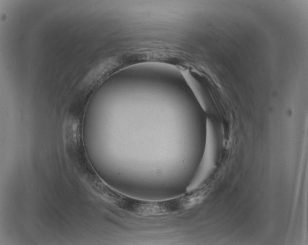 X0000085230123200703091201