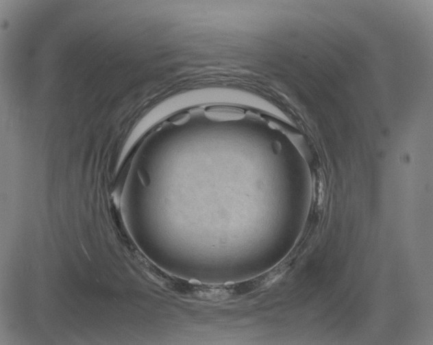 X0000085230125200703091201