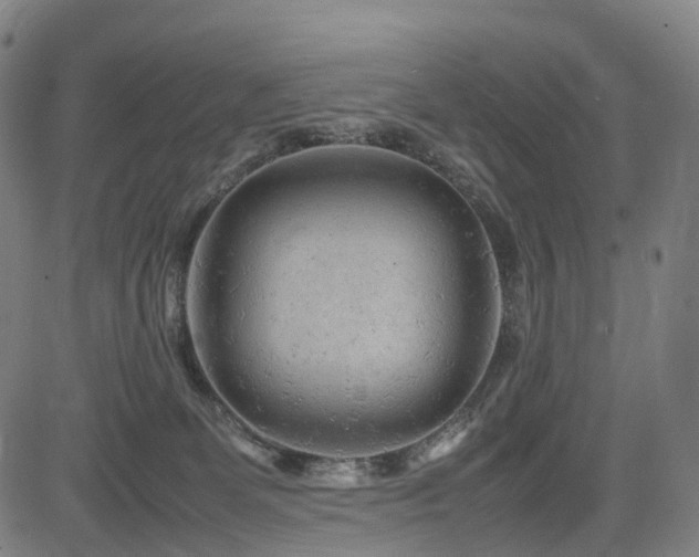 X0000085230131200703091201