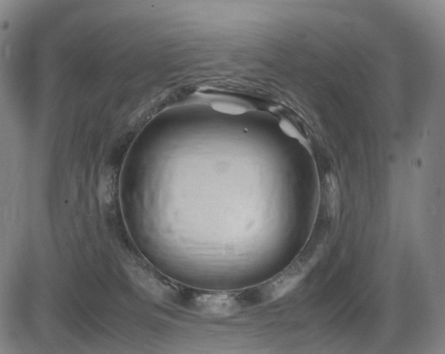 X0000085230133200703091201