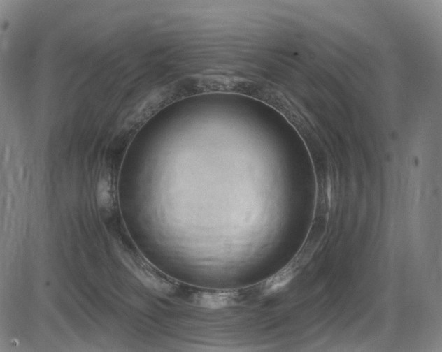X0000085230134200703091201