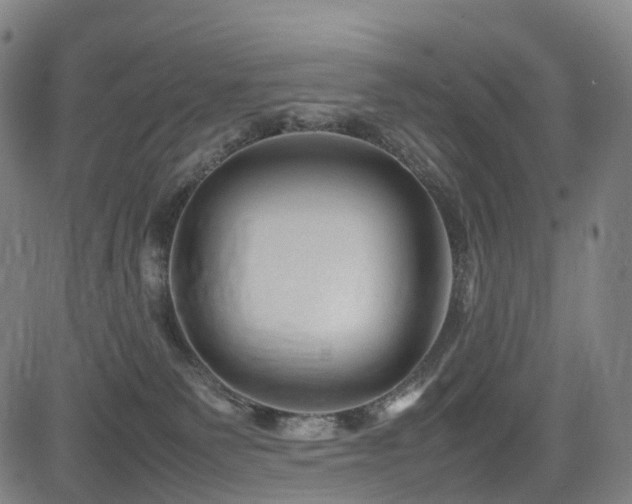 X0000085230135200703091201