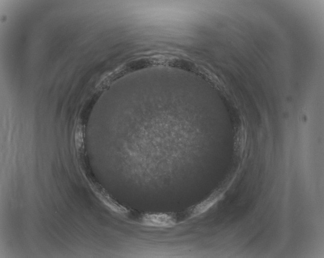 X0000085230137200703091201