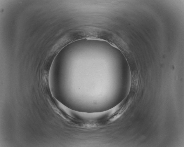 X0000085230141200703091201