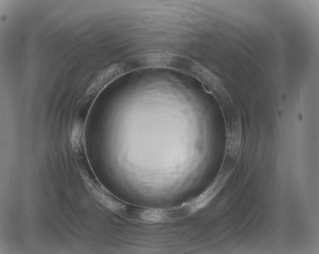 X0000085230142200703091201
