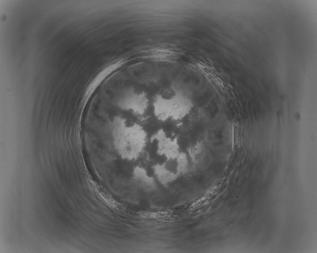X0000085230147200703091200