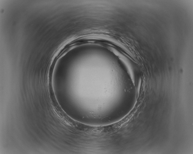 X0000085230148200703091200