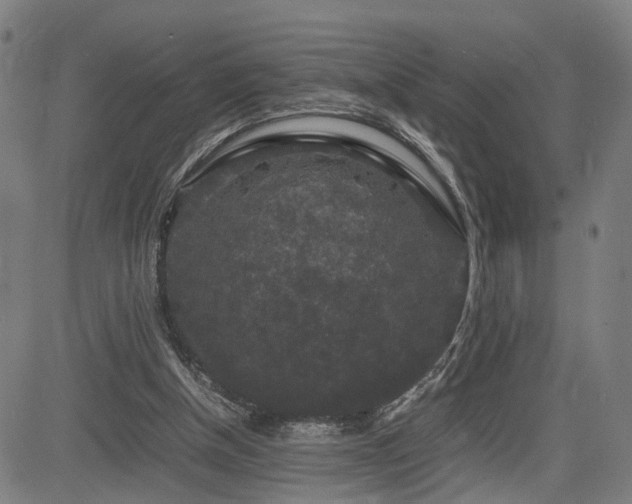 X0000085230154200703091200