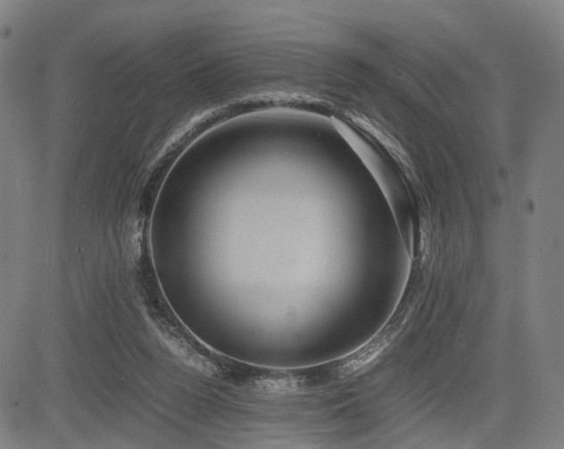 X0000085230160200703091200