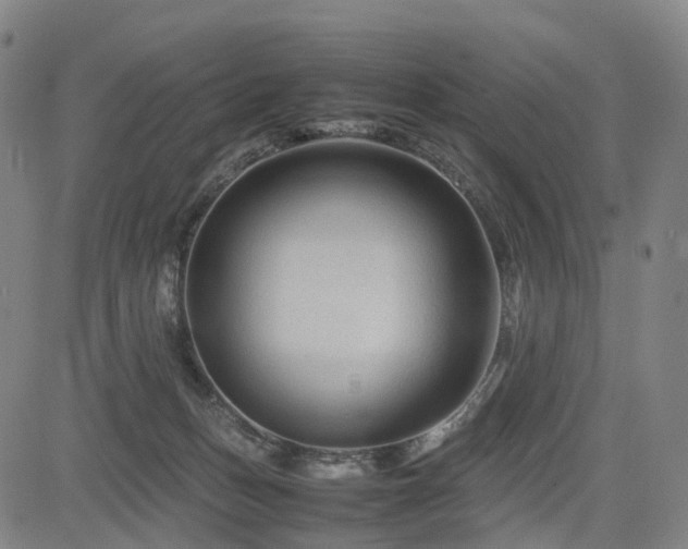 X0000085230175200703091200